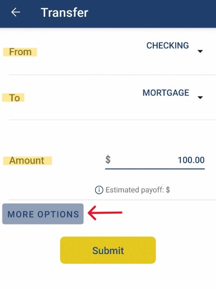 Digital Banking Transfer feature 